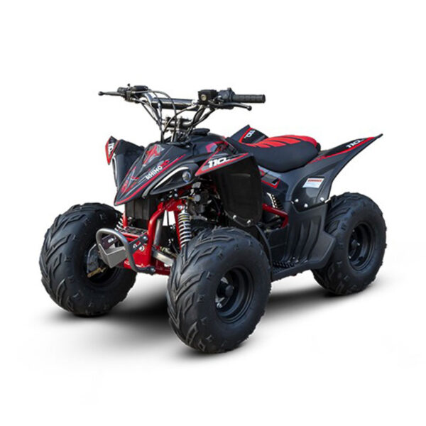 Mini Quadriciclo Rhino 110cc