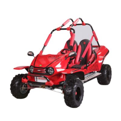 Mini Buggy Fapinha Cross dream