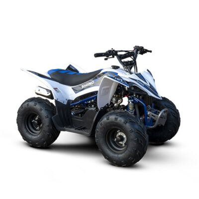 Mini Quadriciclo Rhino 110cc